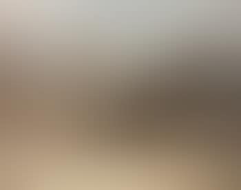 Village suisse (preview)