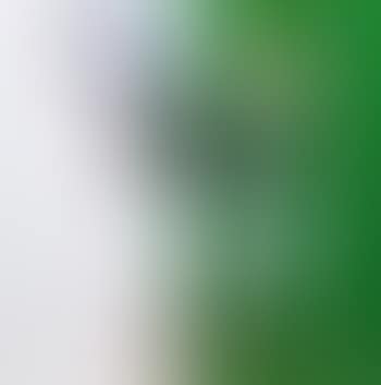Senza titolo (preview)