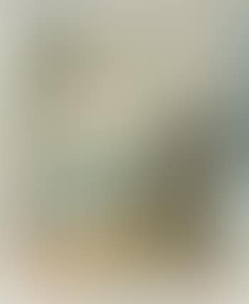 Aereo paesaggio (preview)