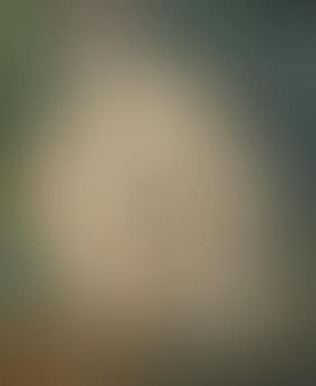 Nu assis (preview)