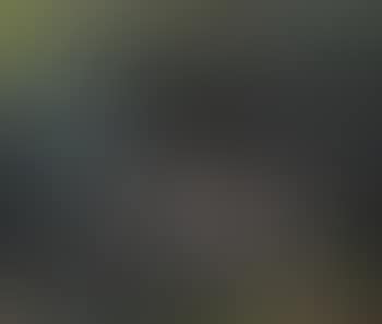 Dorfansicht mit Bauern (preview)