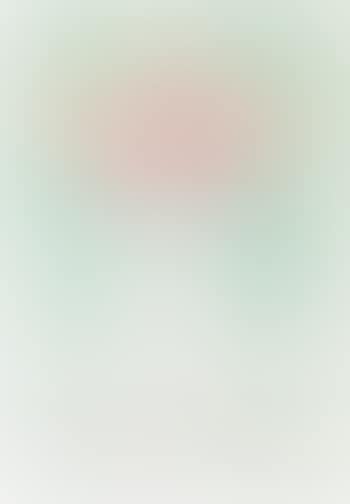 Blumenvase mit Rosen (preview)