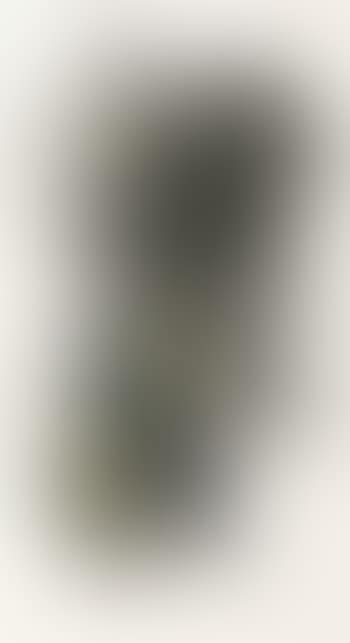 L25 (preview)