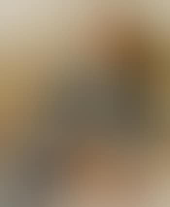 Porträt eines Herrn mit zwei Hunden (preview)