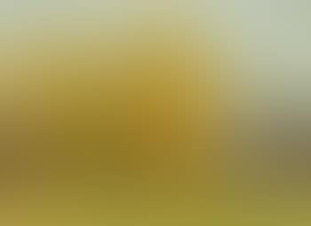 Landscape with Poplars (preview)
