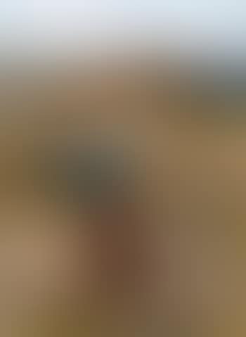 La Glaneuse (preview)