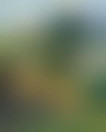 New Hampshire Hills (New Hampshire Landscape) (preview)