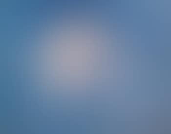 Fish in The Sky (preview)