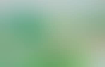Upland (preview)
