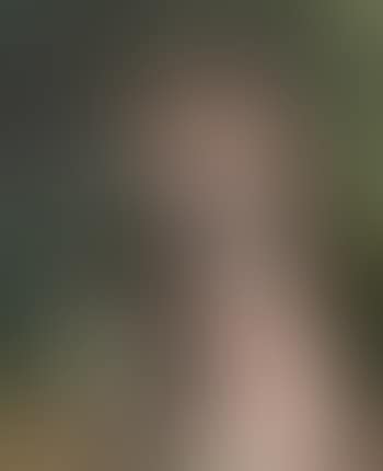 Portrait of Céleste (Au Jardin; Jeune Fille En Chapeau Marron; Jeune Fille Du Chapeau Marron, Au Jardin; Portrait Of Celeste; Young Girl with a Brown Hat) (preview)