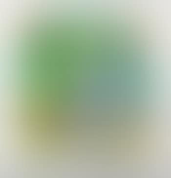 Untitled; Untitled (preview)
