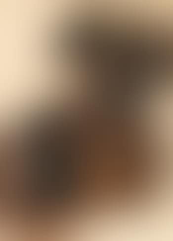 Portrait of Bohemi, Avungura Chief (preview)