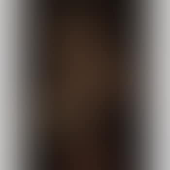 Madonna and Child with a Carmelite Scapular (preview)