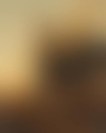Personaggi con rovine ed armenti (preview)