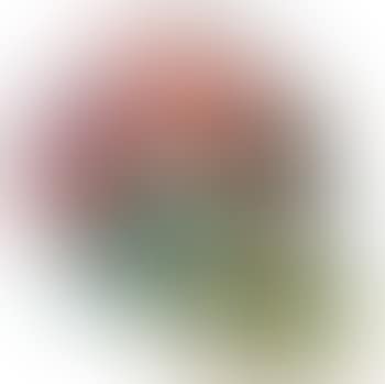 The hours spin scull (preview)