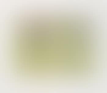 Forest Edge (preview)
