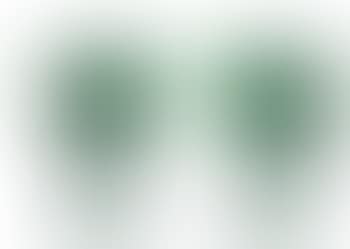 Arbre (preview)