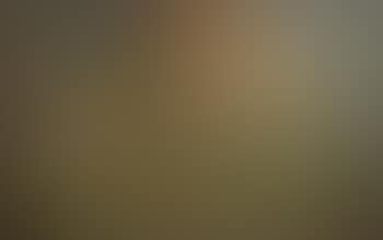 Landscape with autumnal trees (preview)