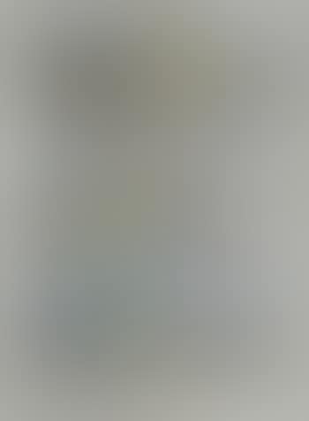Senza Titolo (preview)