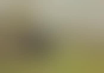 Hillside Country Landscape with Figure Traveling on a Path (preview)