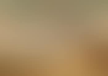 Dune landscape at Scheveningen (preview)