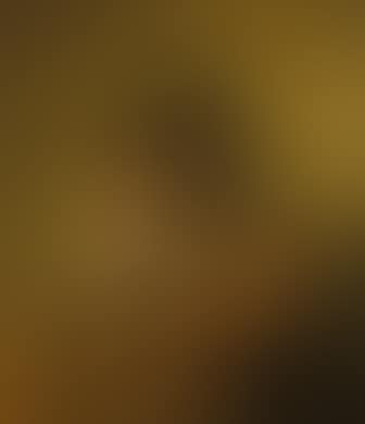 A young violinist (preview)