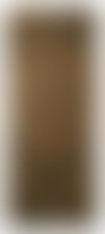 Door (preview)
