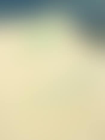 Lapin dans les dunes (preview)