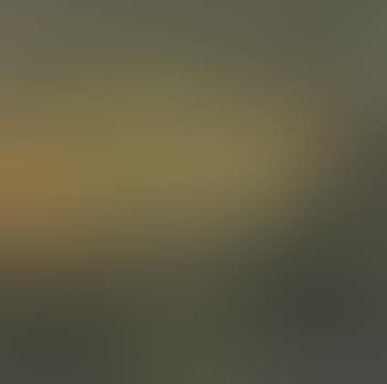 Autumn Landscape (preview)