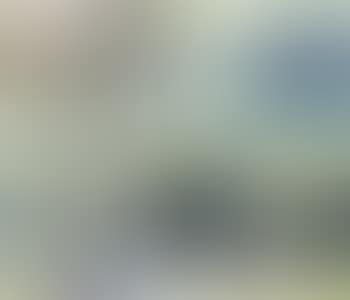 Douce Terre; Force Liberatrice; Early in the Summer; & Untitled (preview)
