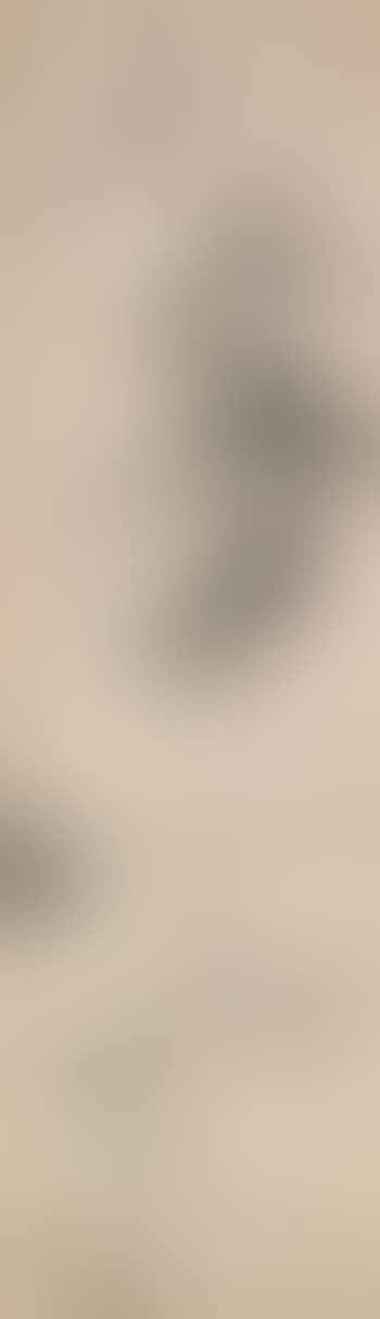 Bamboo (preview)