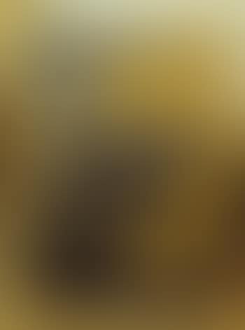 Composition (preview)