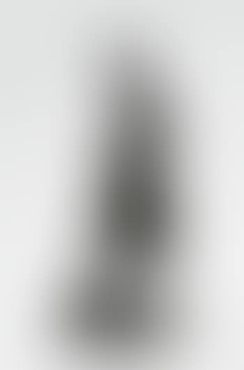 Le Ratapoil (preview)