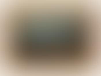 Fields in Stormy Atmosphere (preview)