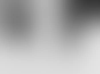 Besucher (preview)