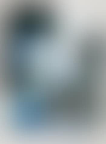 Le peintre (preview)