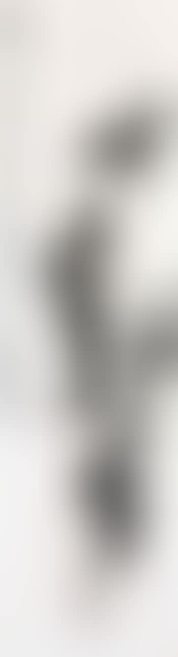 Bamboo (preview)