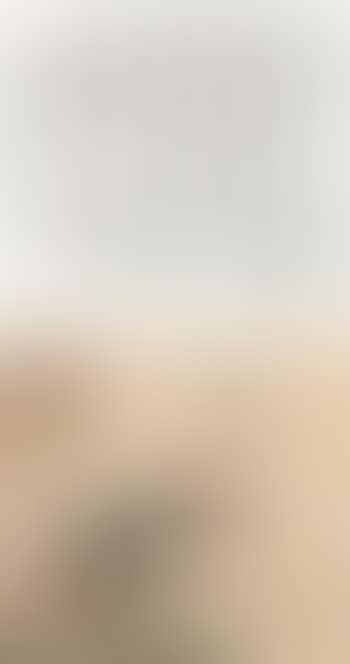 Lotus/Calligraphy by Deng Fen (preview)
