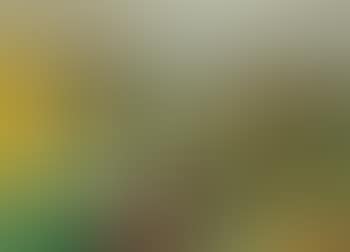 Paysage de campagne (preview)