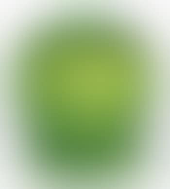 Alicante Vase, No. 998 (preview)