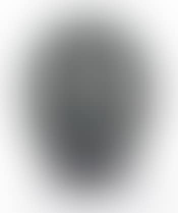 Martin-pêcheurs Vase, No. 920 (preview)