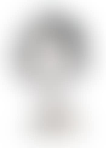 Busto (preview)