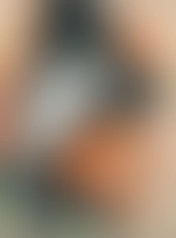Torero (preview)