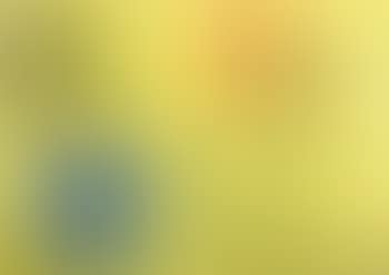 Il serpente (preview)