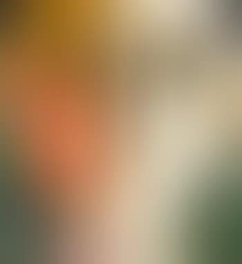 Jackie V (preview)