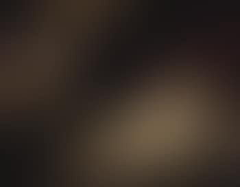 Jupiter and Antiope (preview)