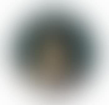 Portrait of Susanna Pellicorne (neé van Collen) (preview)