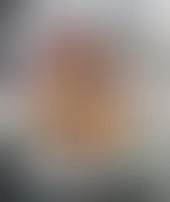 Nidification (preview)