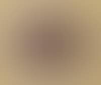 Torah Mantel Gold (preview)