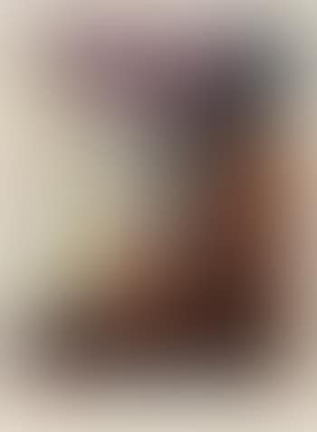 Lithographie 247 (preview)